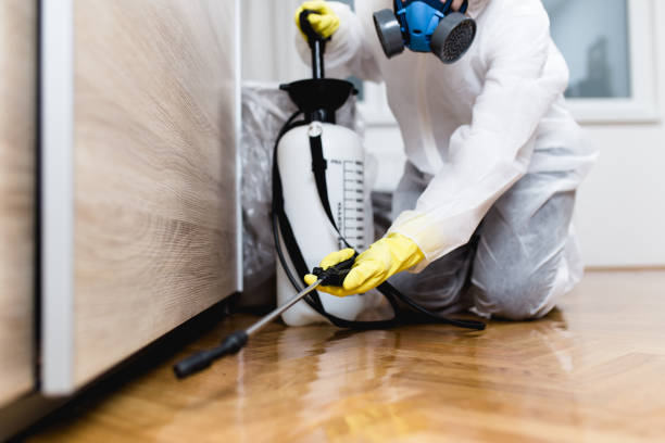 Best Exterminator Services  in Walnut Grove, GA