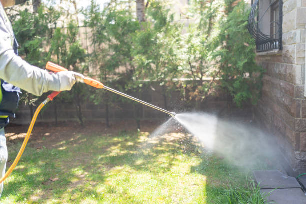 Best Mosquito Control Services  in Walnut Grove, GA
