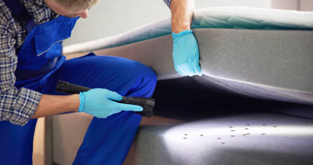 Best Bed Bug Extermination  in Walnut Grove, GA