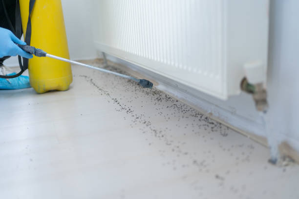 Best Emergency Pest Control  in Walnut Grove, GA