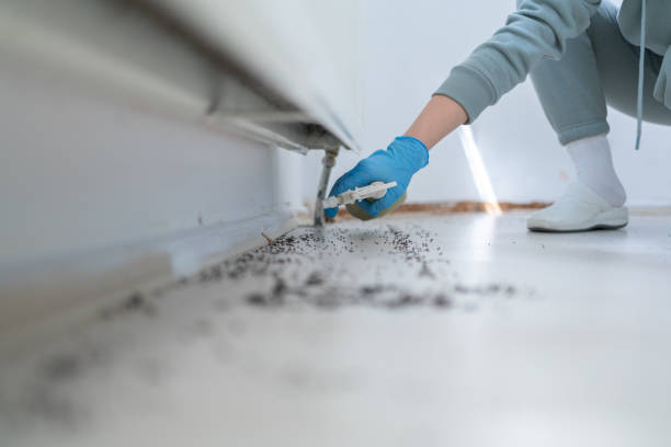 Trusted Walnut Grove, GA Pest Control Experts