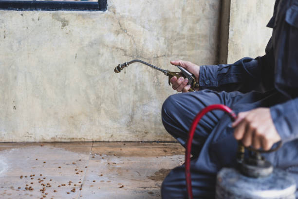 Best Wasp Removal Services  in Walnut Grove, GA