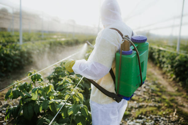 Best Termite Control Services  in Walnut Grove, GA